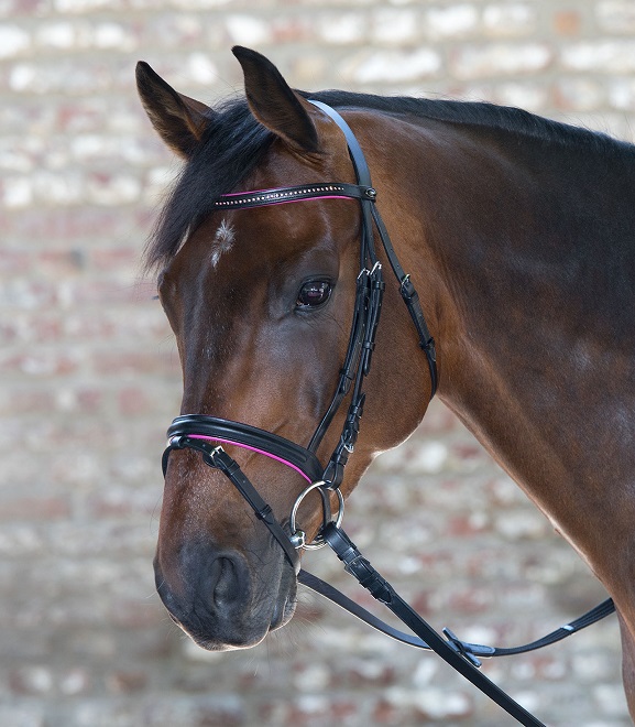 BRIGLIA CON STRASS COLORED Briglie 